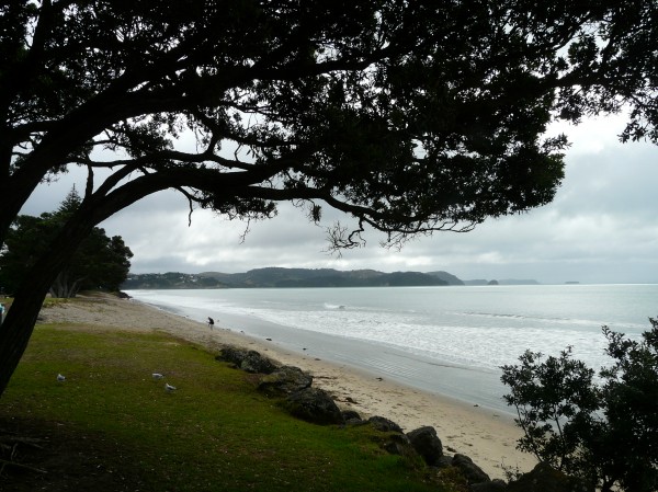 Orewa